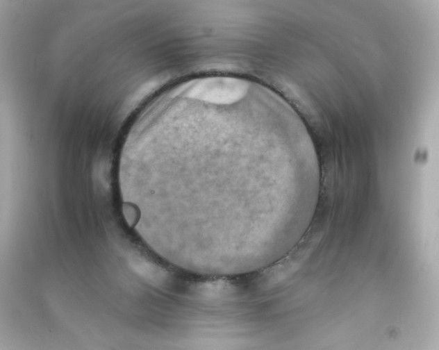 X0000090490112200708102227