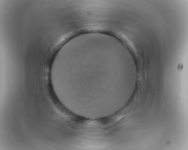 X0000090490115200708102227