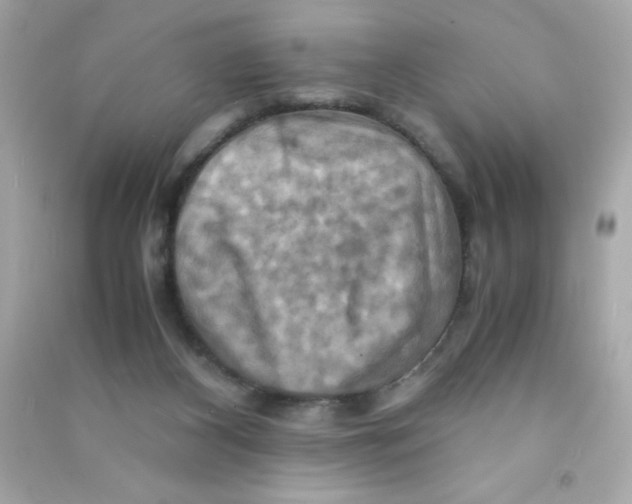 X0000090490116200708102227