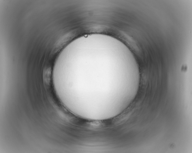 X0000090490118200708102227