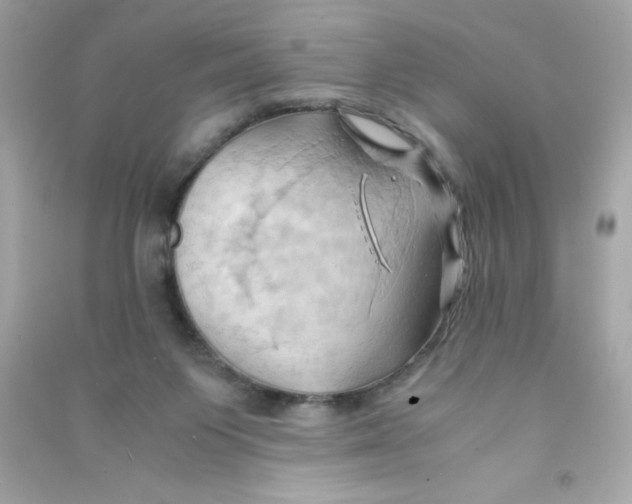 X0000090490119200708102227