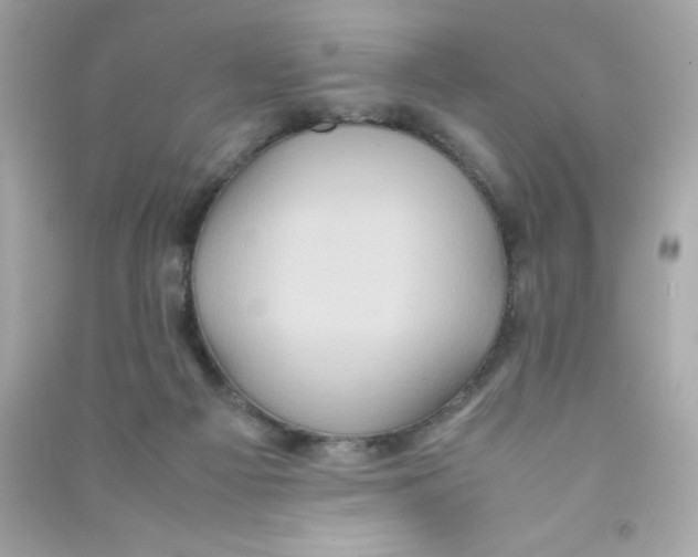 X0000090490121200708102227