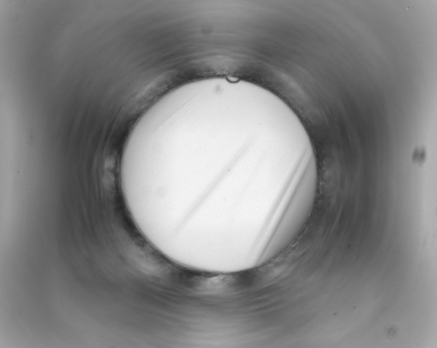 X0000090490122200708102227