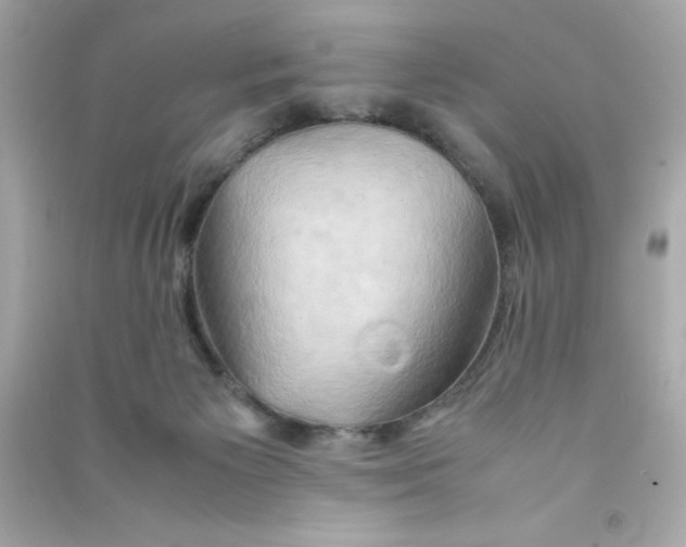 X0000090490125200708102227