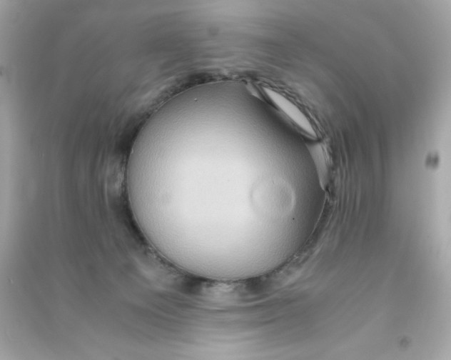 X0000090490129200708102227