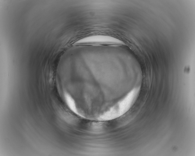 X0000090490134200708102227