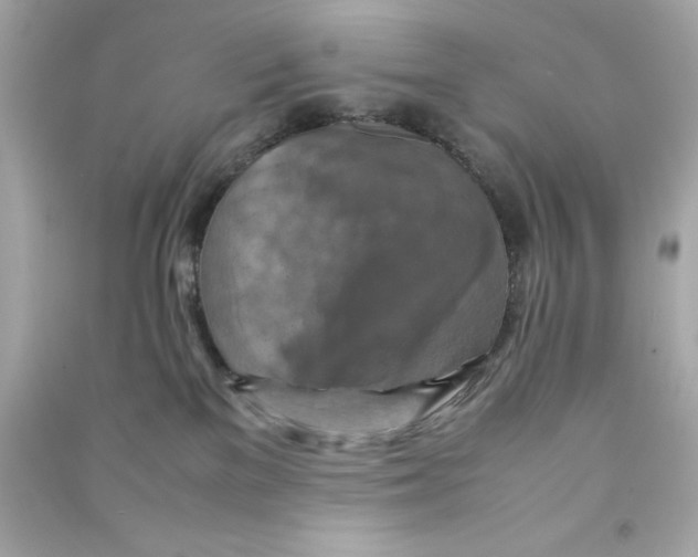 X0000090490137200708102227