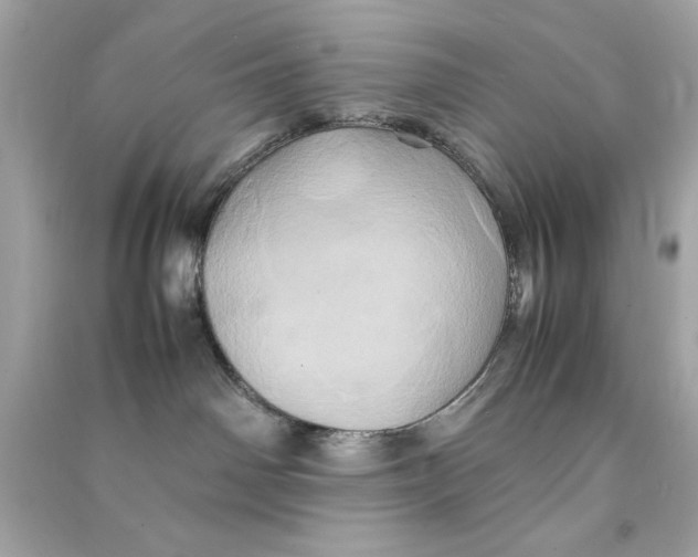 X0000090490142200708102227