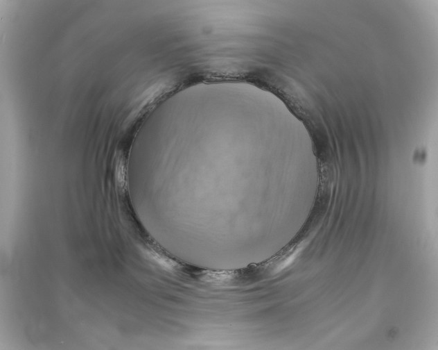 X0000090490143200708102227