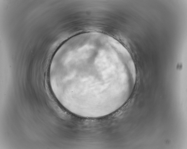 X0000090490145200708102226