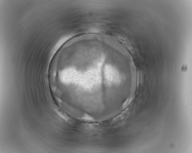 X0000090490147200708102226