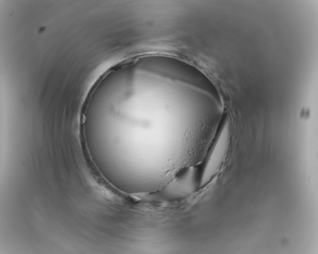 X0000090490148200708102226