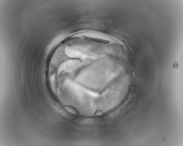 X0000090490149200708102226