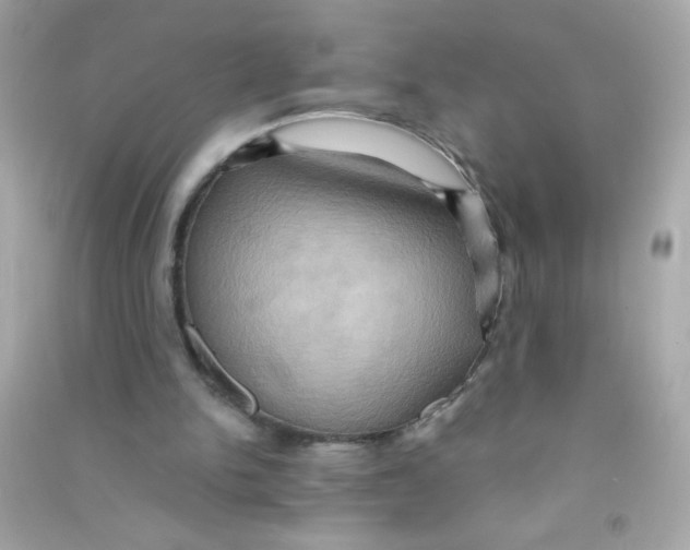 X0000090490150200708102226