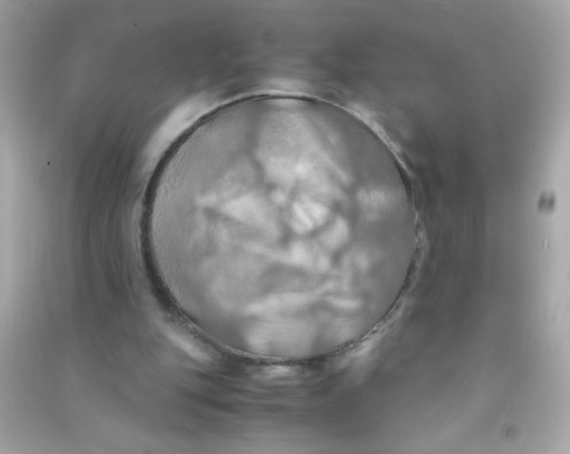 X0000090490151200708102226