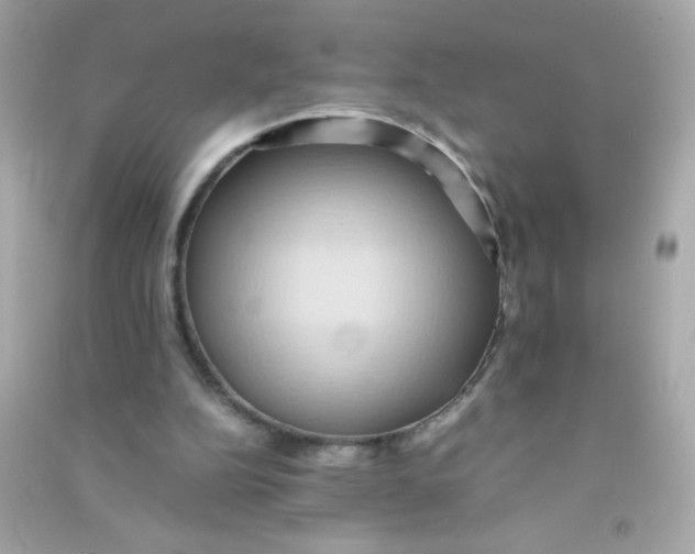 X0000090490152200708102226