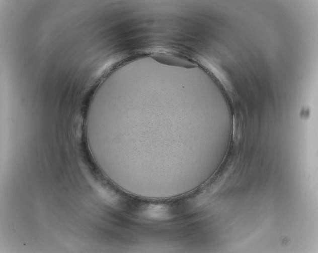 X0000090490157200708102226