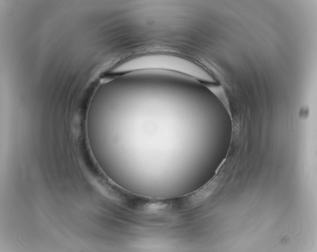 X0000090490158200708102226