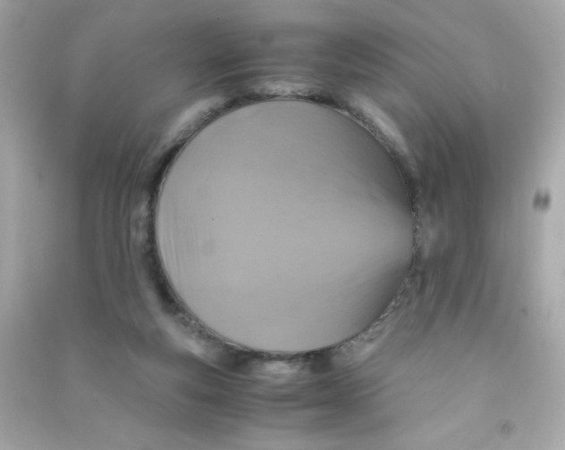 X0000090490163200708102226