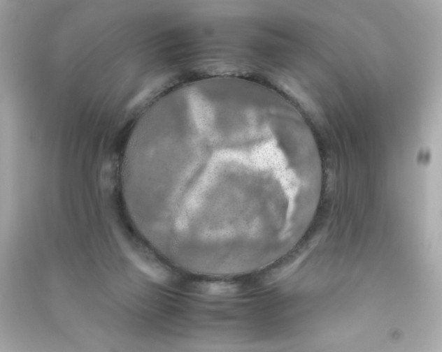 X0000090490165200708102226