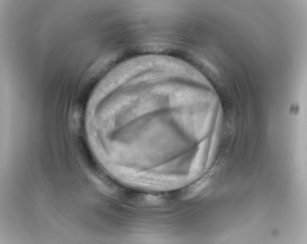 X0000090490166200708102226