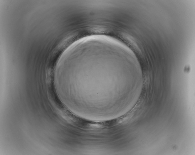 X0000090490167200708102226