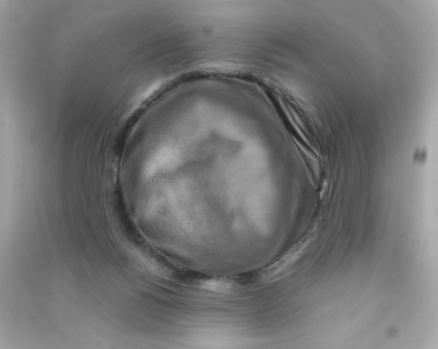 X0000090490168200708102226