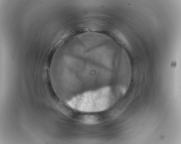 X0000090490169200708102226