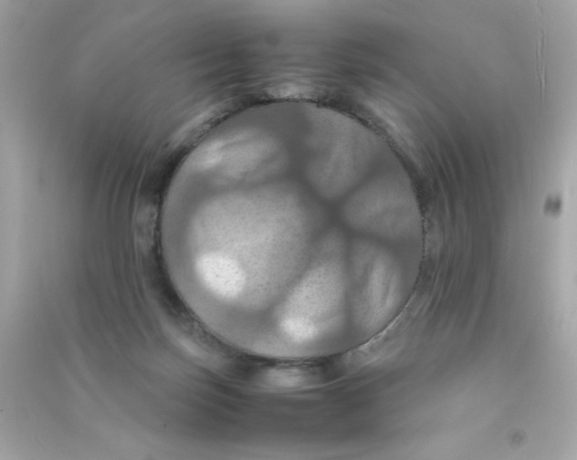 X0000090490171200708102226