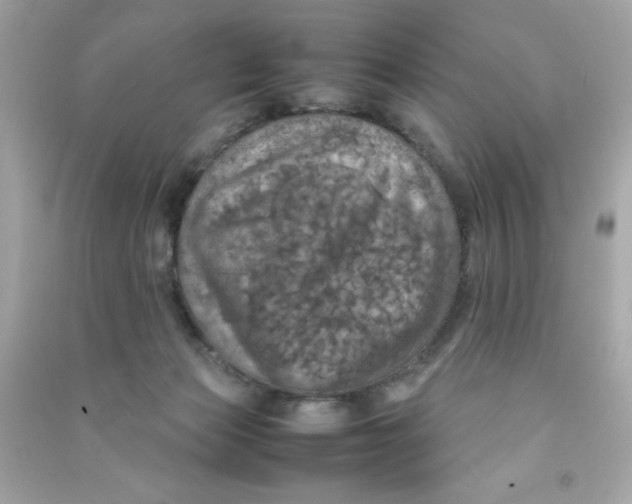 X0000090490173200708102226