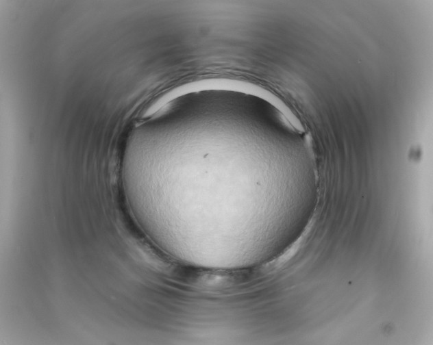 X0000090490174200708102226