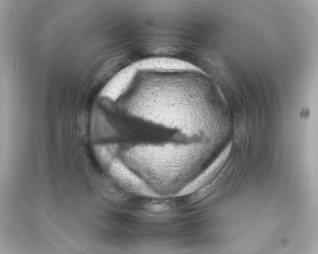 X0000090490175200708102226