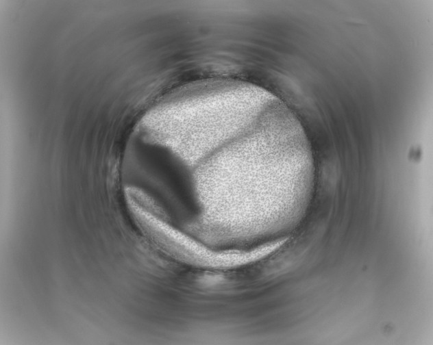 X0000090490177200708102226