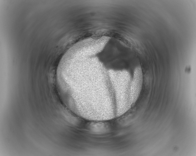 X0000090490181200708102227