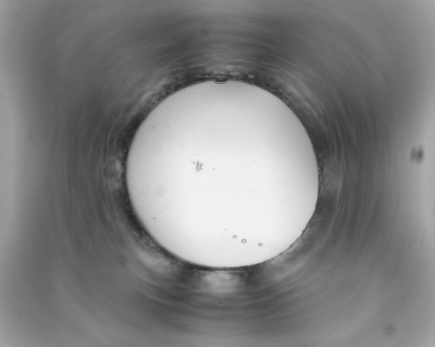 X0000090490183200708102227