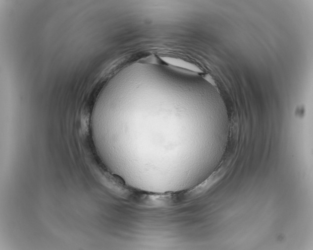 X0000090490188200708102227