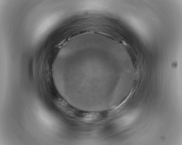 X0000090490191200708102227