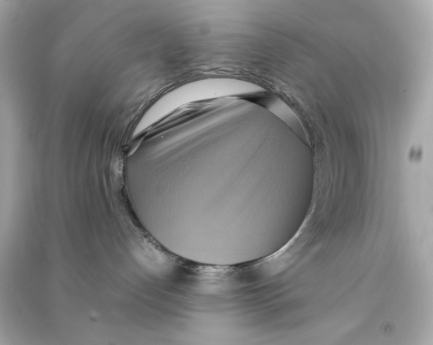 X0000090490192200708102227