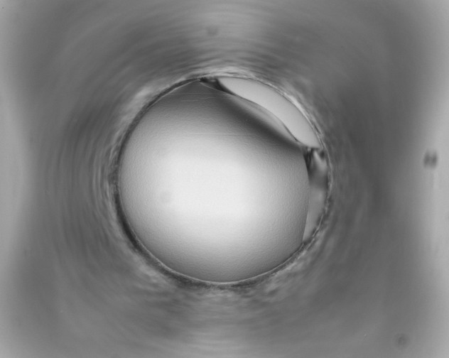 X0000090490193200708102226