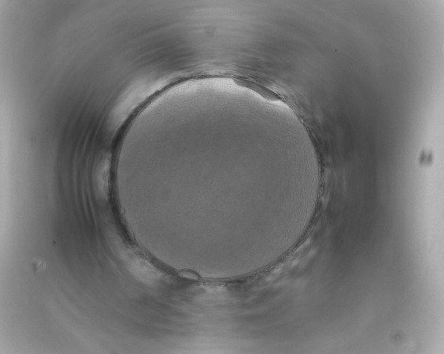 X0000090490194200708102226