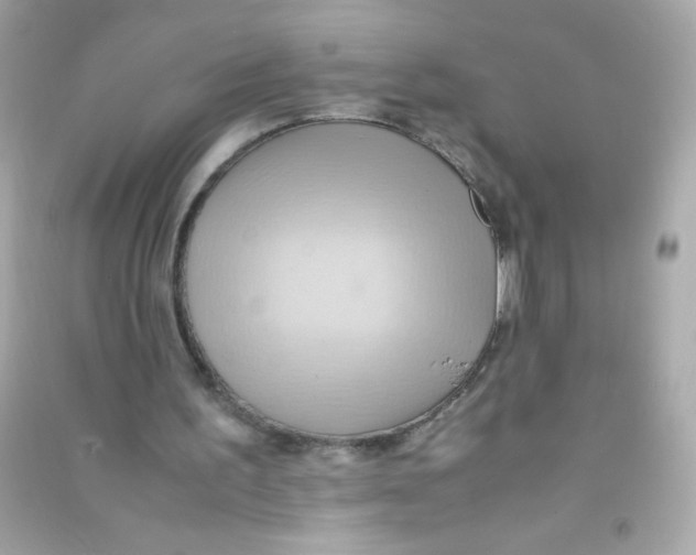 X0000090490195200708102226