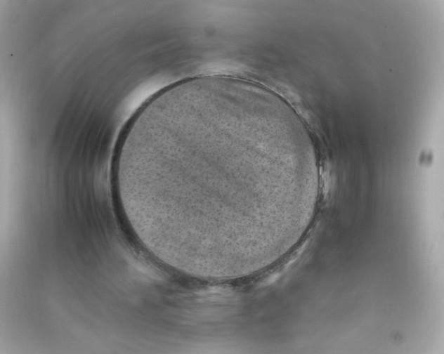 X0000090490196200708102226