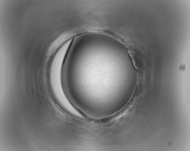 X0000090490197200708102226