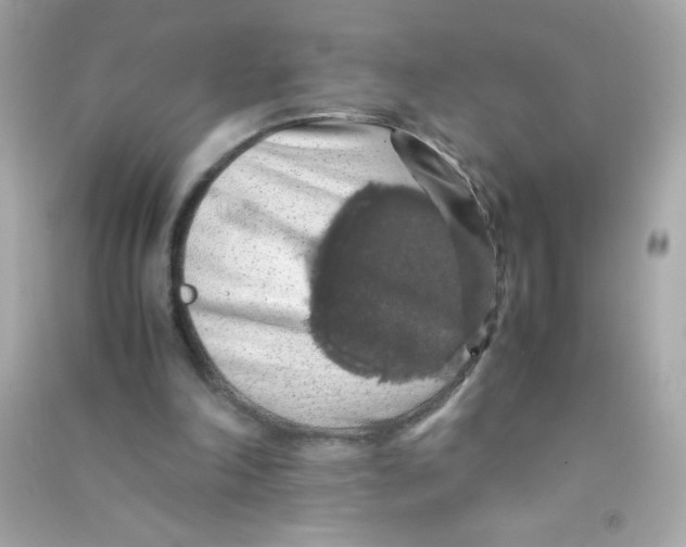 X0000090490198200708102226