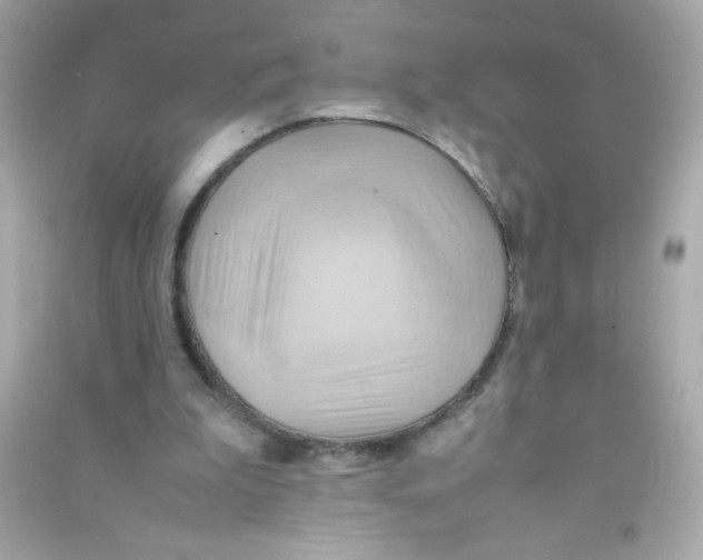 X0000090490199200708102226