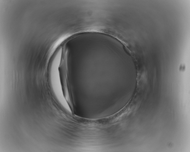 X0000090490200200708102226