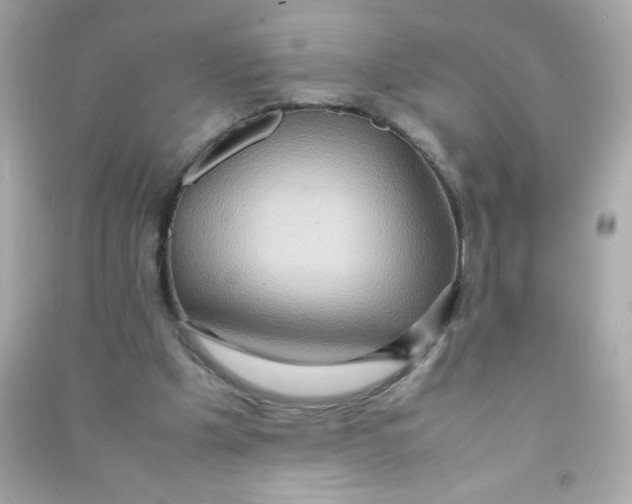 X0000090490201200708102226