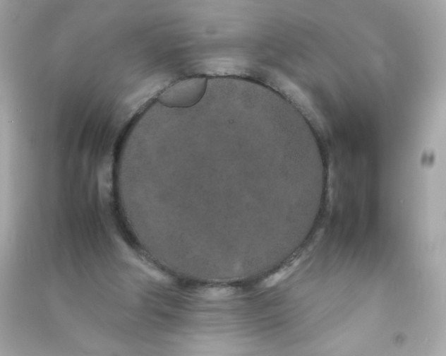 X0000090490202200708102226