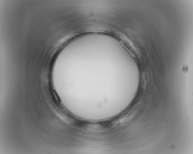 X0000090490203200708102226