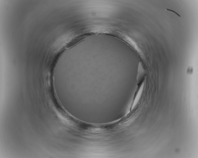 X0000090490205200708102226